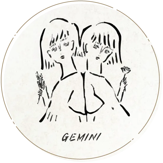 GEMINI
